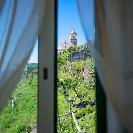 Adelina - Coast * Amalfi
